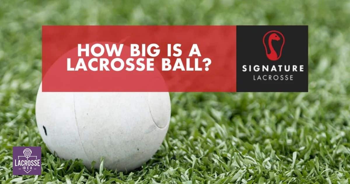 How Big Is A Lacrosse Ball?